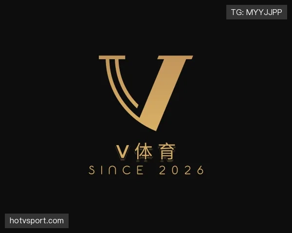 关于V体育